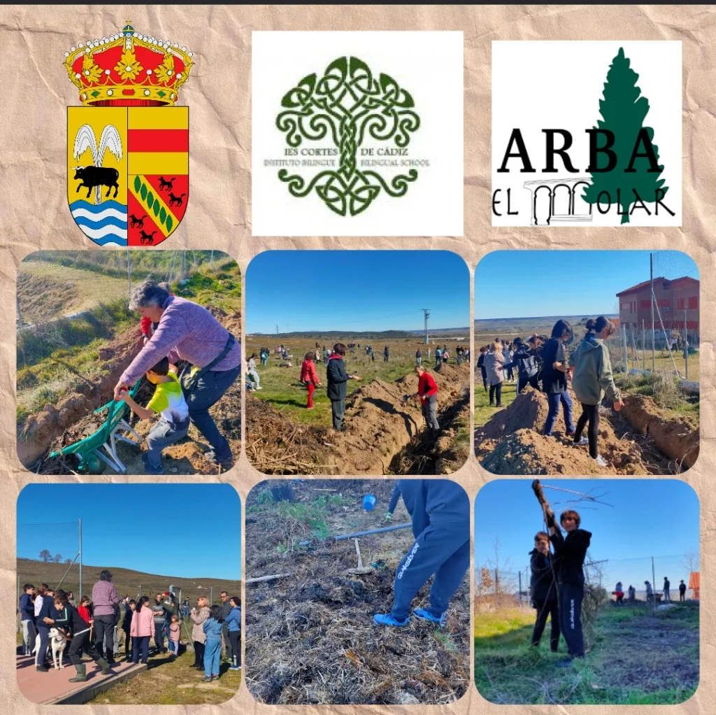 Colaboración IES Cortes de Cádiz